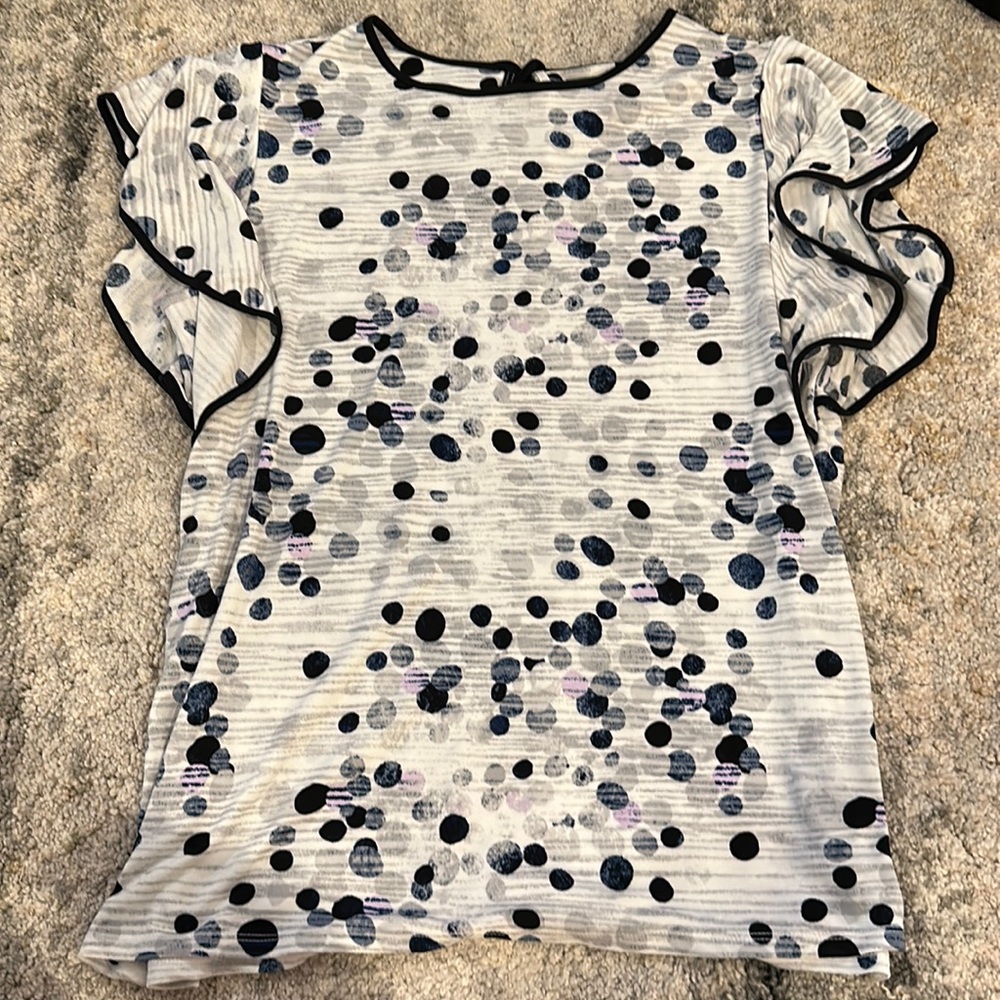 The Limited Soft Blouse